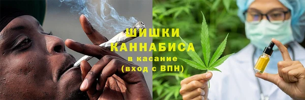mdpv Краснослободск