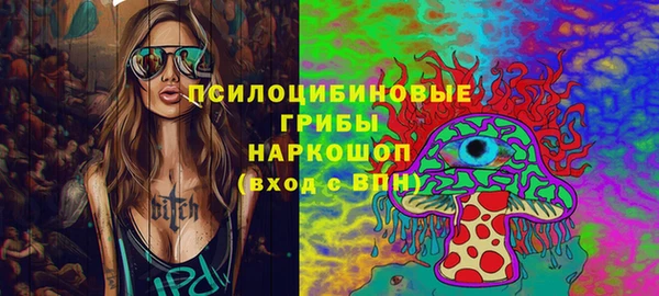 mdpv Краснослободск