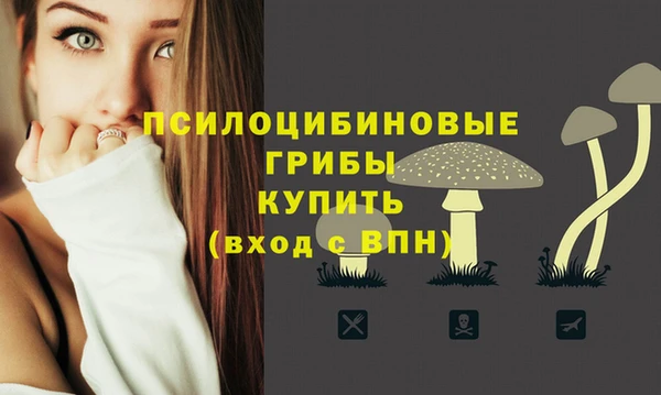 MESCALINE Краснотурьинск
