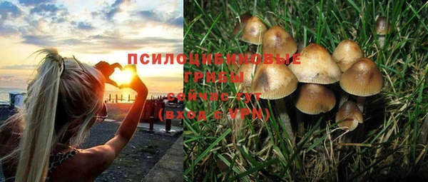 MESCALINE Краснотурьинск