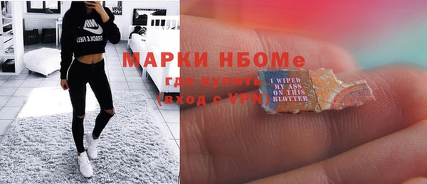 сатива Тында