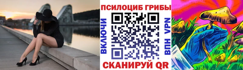 Псилоцибиновые грибы MAGIC MUSHROOMS  Стародуб 
